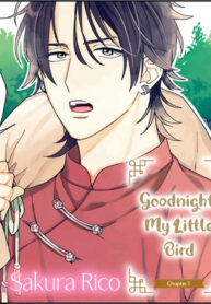 Good Night, My Little Bird BL Yaoi Smut Manga (3)