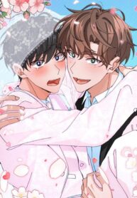 Special Benefits for Newlyweds yaoi omegaverse manhwa