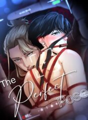 The Perfect Pose yaoi bdsm manhwa