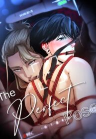 The Perfect Pose yaoi bdsm manhwa